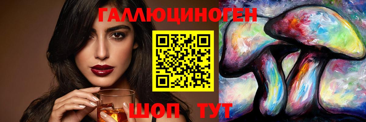 Галлюциногенные грибы Psilocybine cubensis Бирск